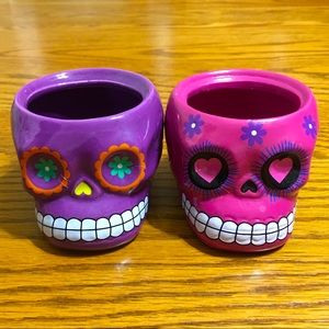 Día de los Muertos Sugar Skull Planters